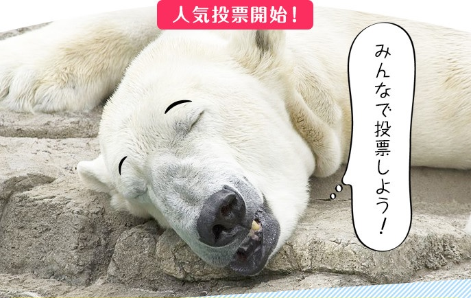 投票画面