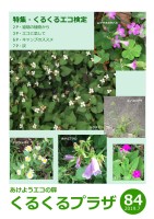 page 1 thumbnail