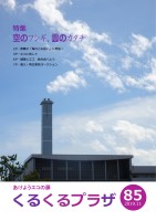 page 1 thumbnail